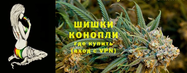 ECSTASY Лагань